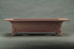 Poterie bonsaï rectangle de type sampo