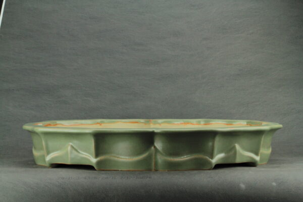 Grand pot à bonsaï lotus émaillé vert