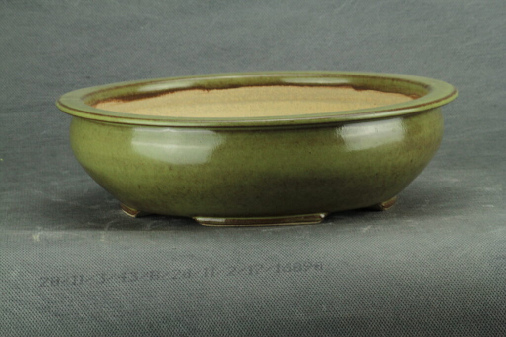 Poterie à Bonsaï émaillée